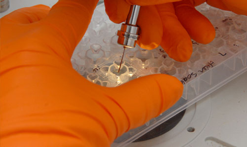 Gloved hands using a laboratory probe